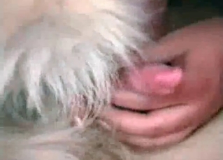 Stray dog loves BJS