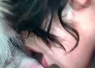 Stray dog loves BJS