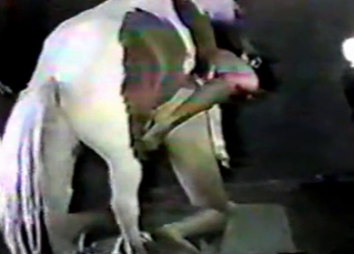 Tight asshole fucked by a filly