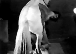 Tight asshole fucked by a filly