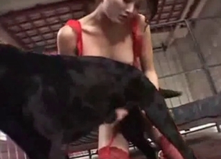 Sexy dog gets a neat handjob