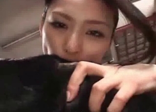 Sexy dog gets a neat handjob