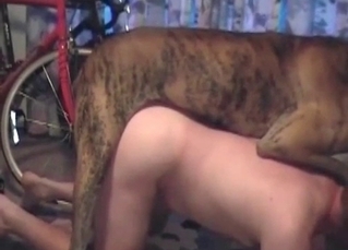 Amazing performance from a sexual dog