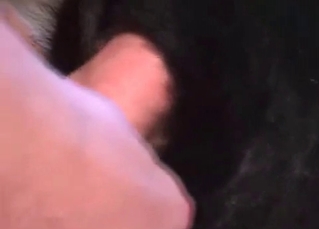 Zoophile drilling a tight dog