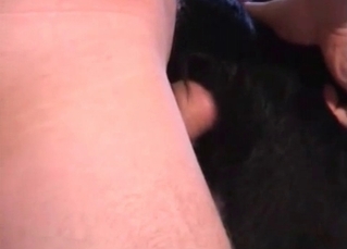 Zoophile drilling a tight dog