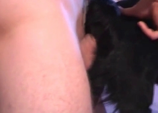 Zoophile drilling a tight dog