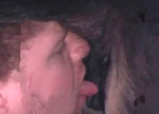 Horse gets it in the butthole
