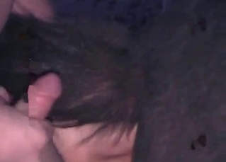 Horse gets it in the butthole