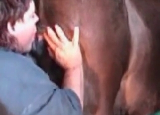 Horse enjoying all the sex