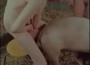 Barn fucking for a hot, nasty pig