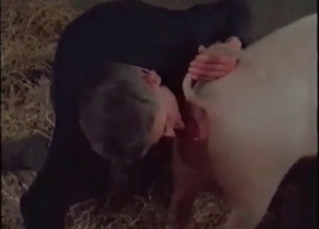 Barn fucking for a hot, nasty pig