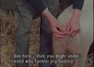Barn fucking for a hot, nasty pig