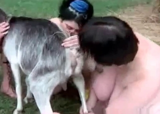 Three kinky pervs and a hot goat