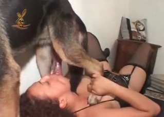 Great hound loving that loose pussy