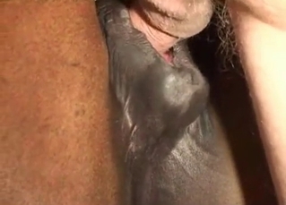 Animal cock jizzing all over the place