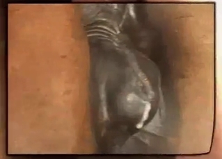 Animal cock jizzing all over the place
