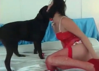 Hound looks like a real pornstar
