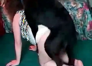 Experienced MILF pleasuring a dog