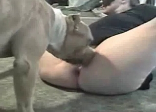 Obedient whore is powerless while fucked by a dog