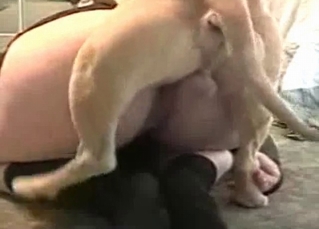 Obedient whore is powerless while fucked by a dog
