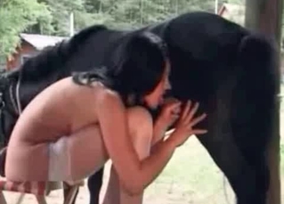 Pony getting a BJ of a lifetime