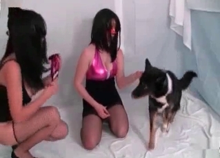 Two ladies and their horny pup