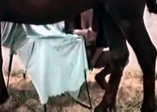 Incredible MILF with a hot black mare