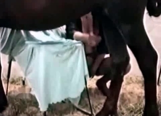 Incredible MILF with a hot black mare