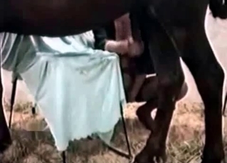 Incredible MILF with a hot black mare