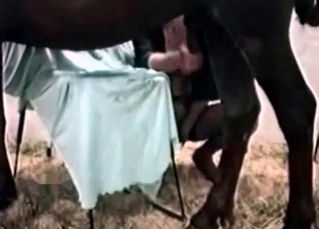 Incredible MILF with a hot black mare