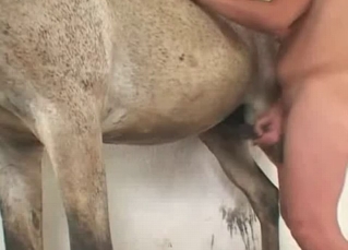 Amazingly hot chick blowing a horse