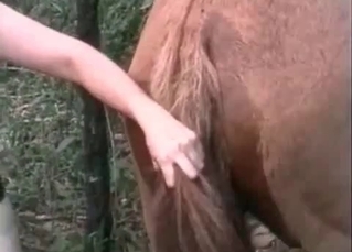 Horse asshole getting rimmed real god