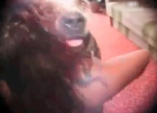 Doggy style fuck for a hot babe