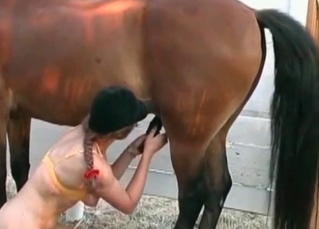 Horse wiener blown by a lusty babe
