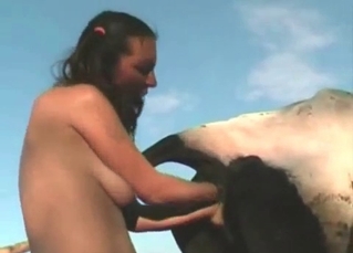 Incredible brunette and her sexy horse