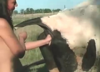 Incredible brunette and her sexy horse