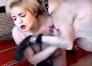 Dog fucking this kinky MILF