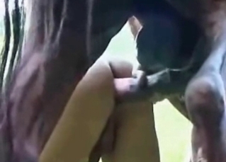 This horse loves anal sex for sure