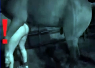 Big black mare and a kinky babe