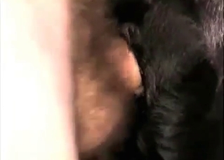 Kinky dude banging a slutty puppy