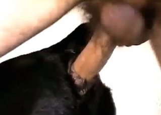 Kinky dude banging a slutty puppy
