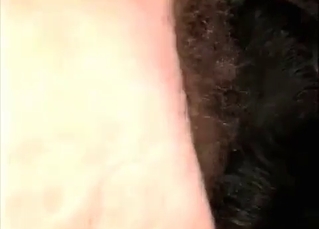 Kinky dude banging a slutty puppy