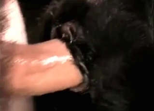 Kinky dude banging a slutty puppy