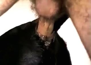 Kinky dude banging a slutty puppy