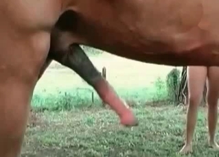 Ravishing slut wants that horse cum for herself