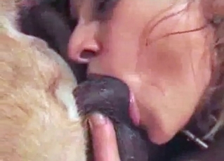 Big, thick dog cock is being pleasured