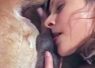 Big, thick dog cock is being pleasured
