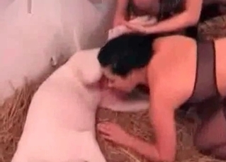 White pooch fucking babes
