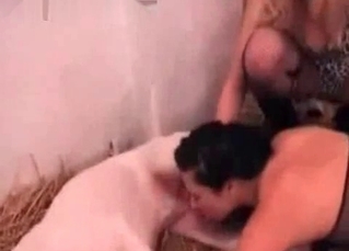 White pooch fucking babes