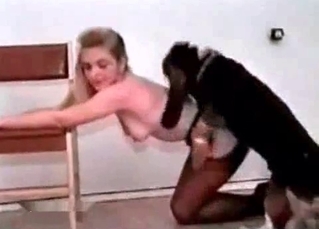 Smooth, tight pussy eaten out by a dachshund